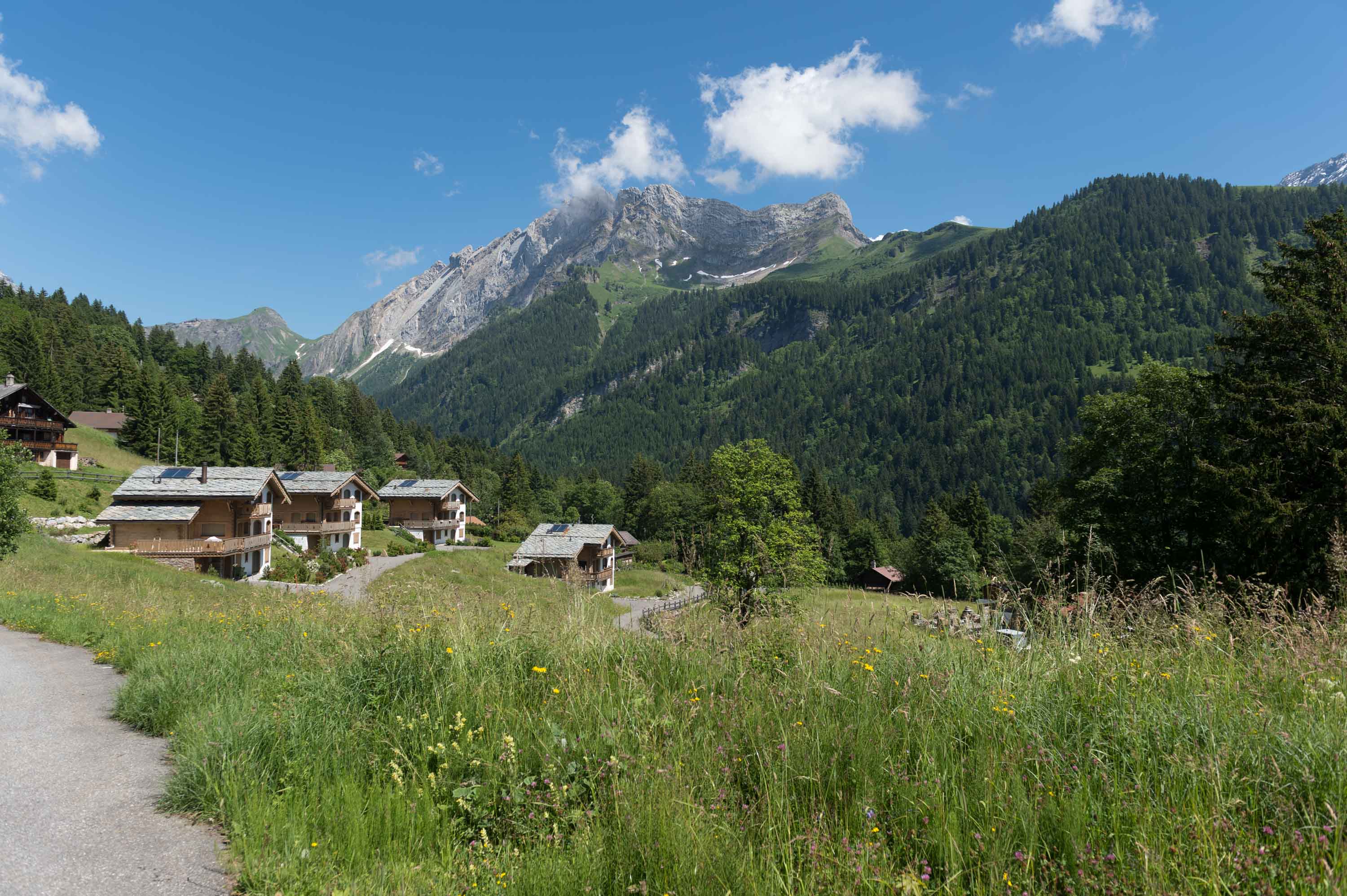 Nous construisons votre chalet en résidence principale... à Gryon...!